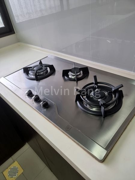 HILLCREST ARCADIA 12