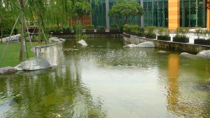 PARK INFINIA AT WEE NAM 5