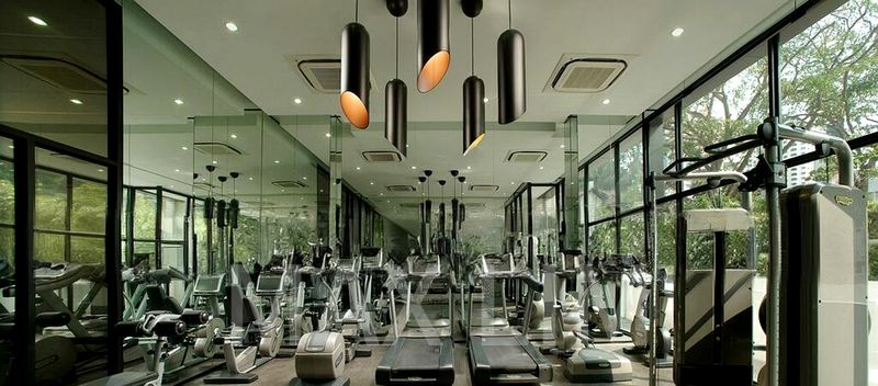 REIGNWOOD HAMILTON SCOTTS 7