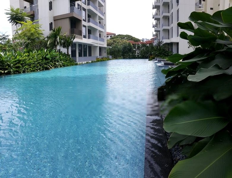 THE SKYWOODS 6