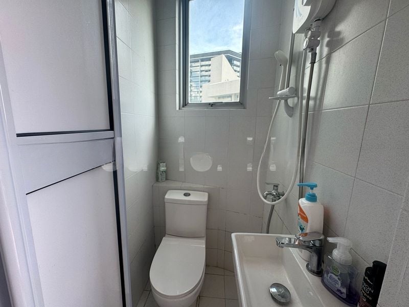 11 AMBER ROAD 12