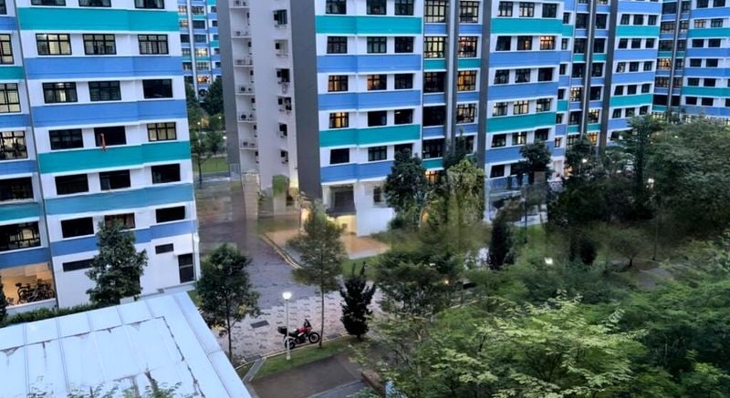 CHOA CHU KANG AVE 1 10