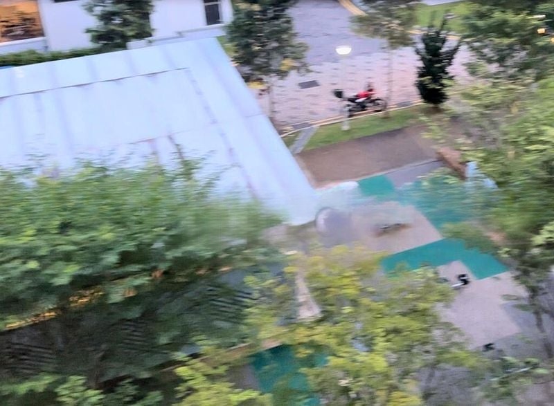 CHOA CHU KANG AVE 1 9