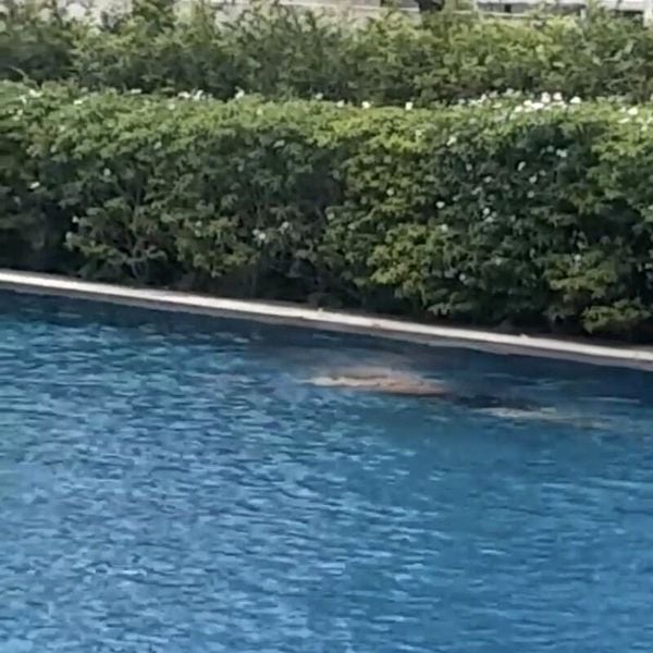 WATERFRONT @ FABER 6