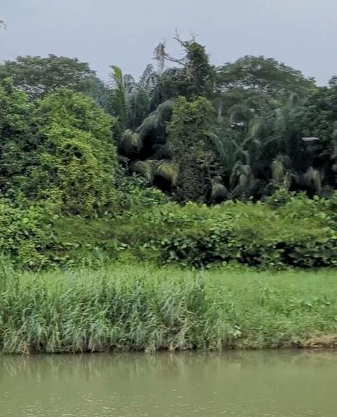 WATERFRONT @ FABER 7