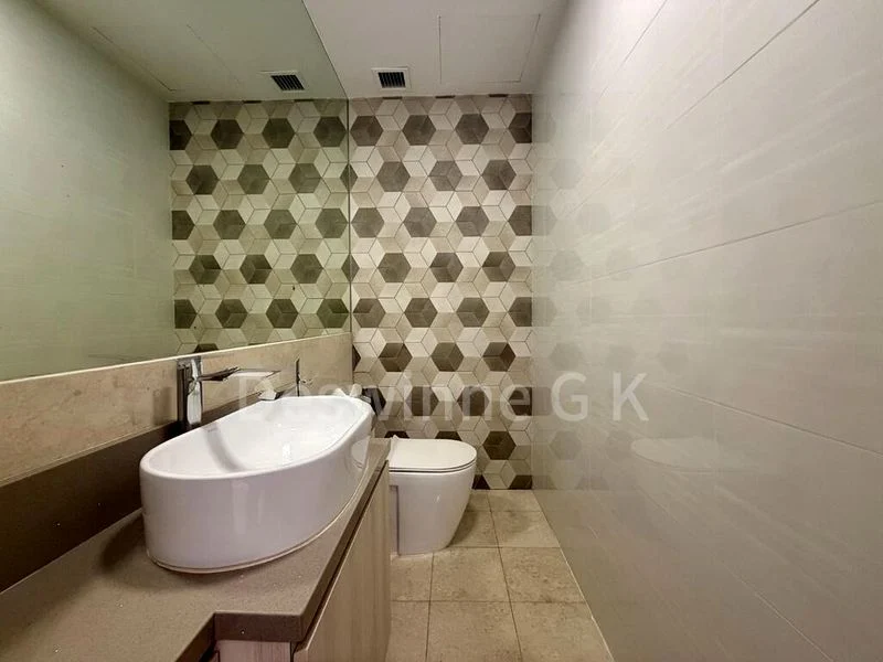 THE SERENADE @ HOLLAND 3