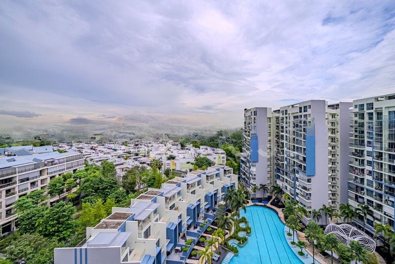 SKIES MILTONIA 8