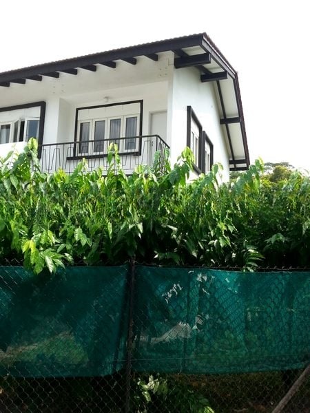 LANDED HOUSING DEVELOPMENT 9