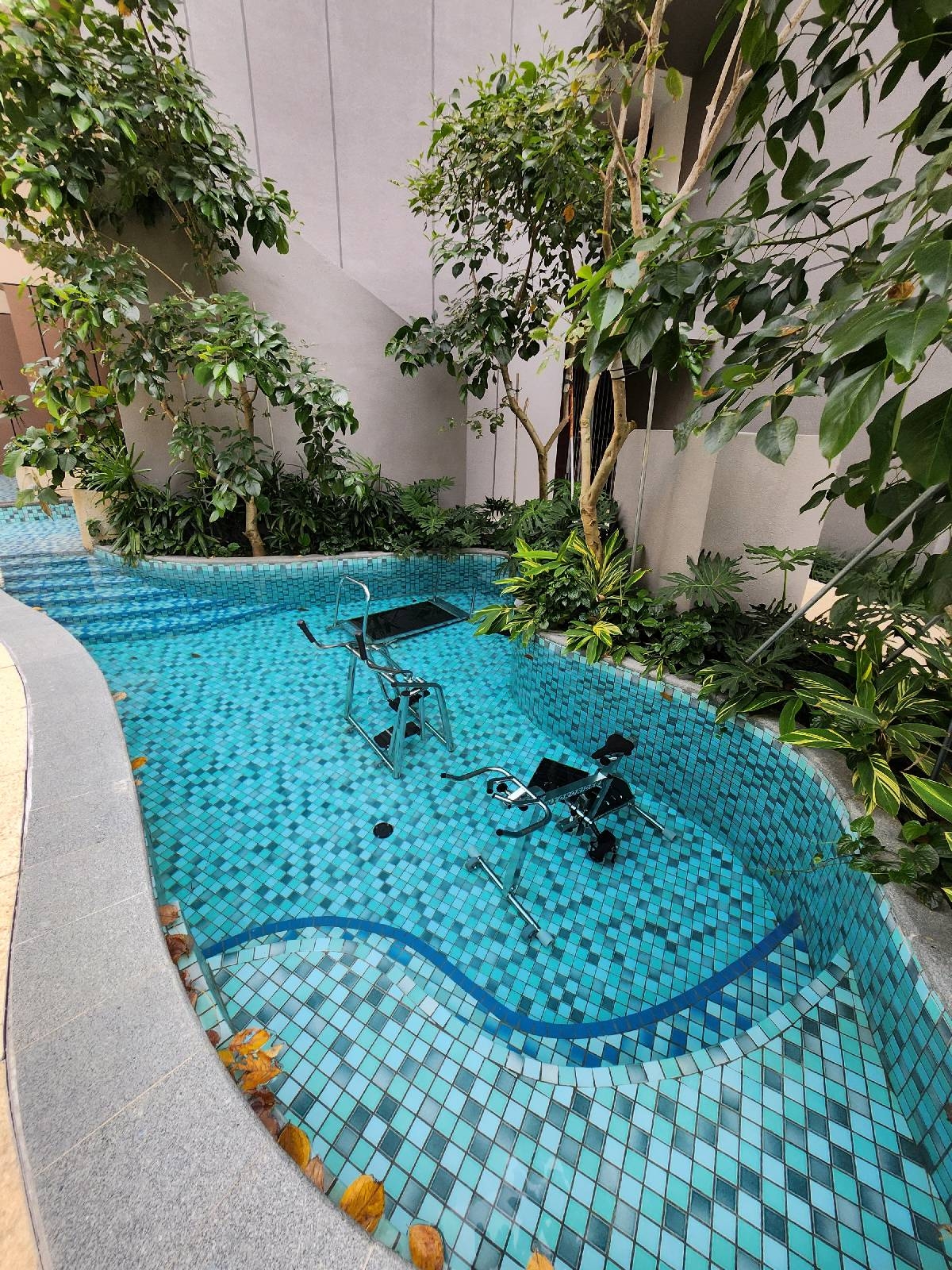 THE WATERGARDENS AT CANBERRA 35