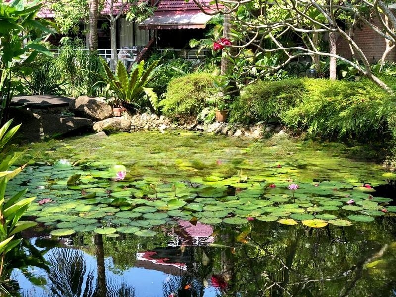 EASTERN LAGOON 2