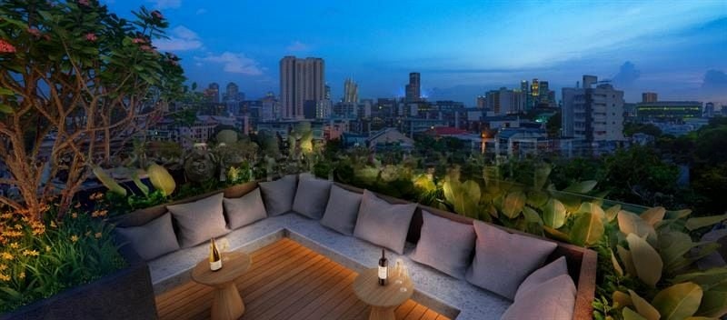 ORCHARD SOPHIA 7