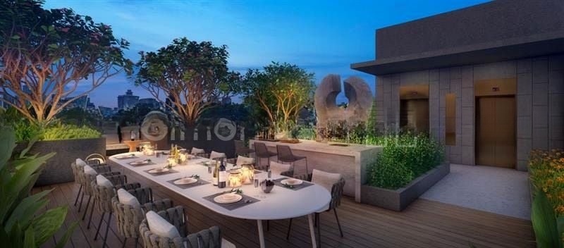 ORCHARD SOPHIA 6