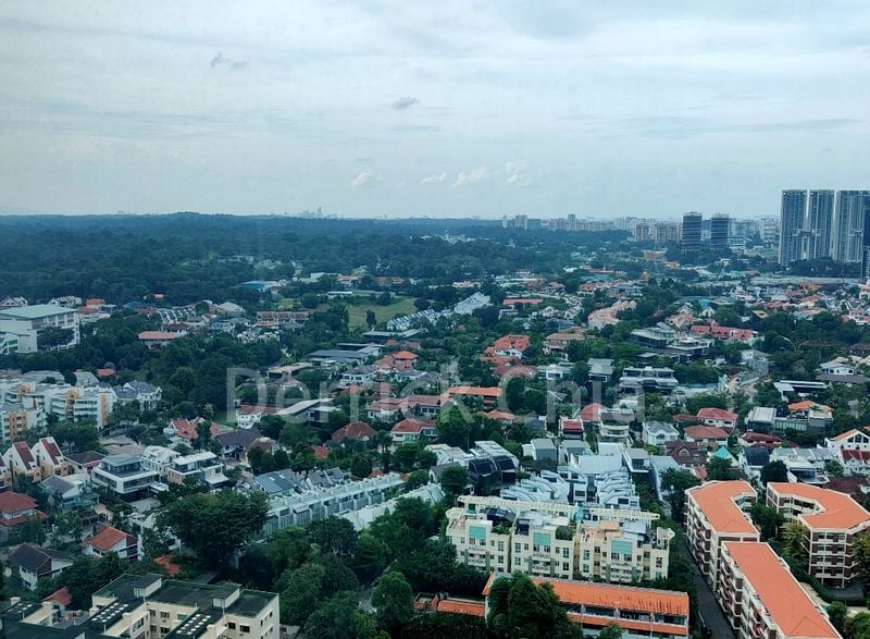 RESIDENCES @ EVELYN 12