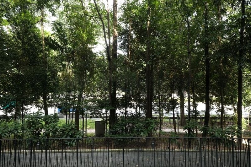 WATERSCAPE AT CAVENAGH 12