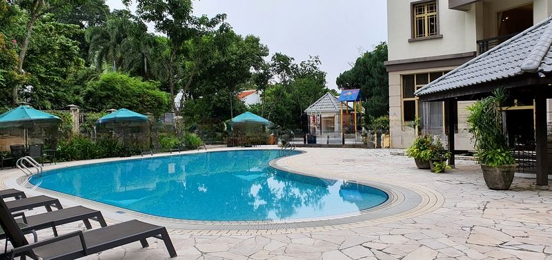 ORANGE REGENCY 14