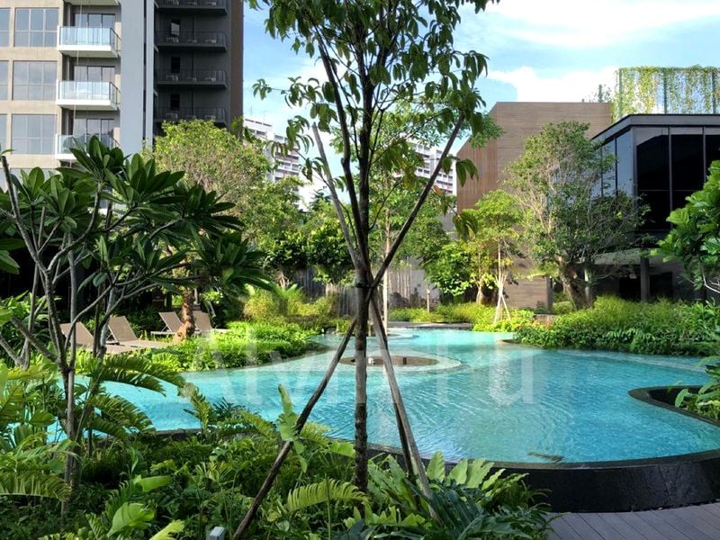 THE CLEMENT CANOPY 11