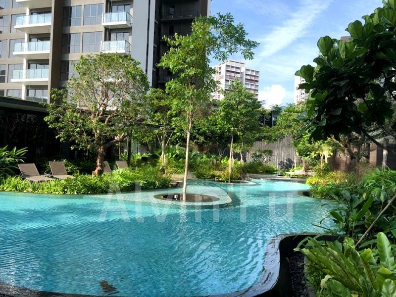 THE CLEMENT CANOPY 12