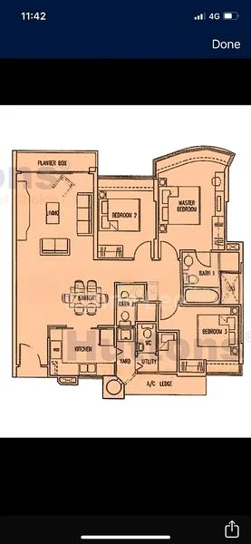 BLOSSOMS @ WOODLEIGH 14