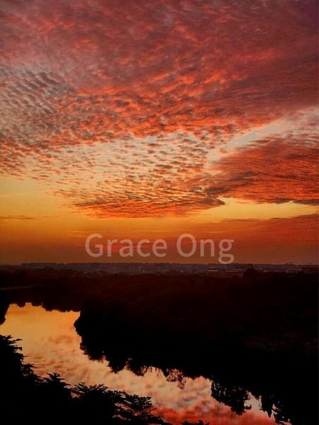 SENGKANG EAST WAY 13