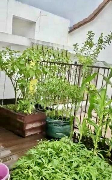 VARSITY PARK CONDOMINIUM 7