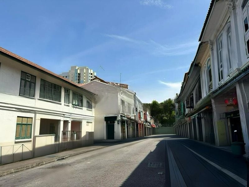 PETAIN RD/TYRWHITT RD CONSERVATION AREA 4