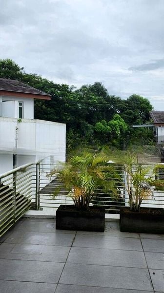 BINJAI CREST 5