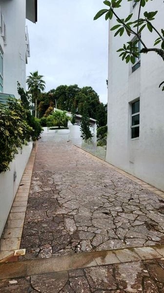 BINJAI CREST 3