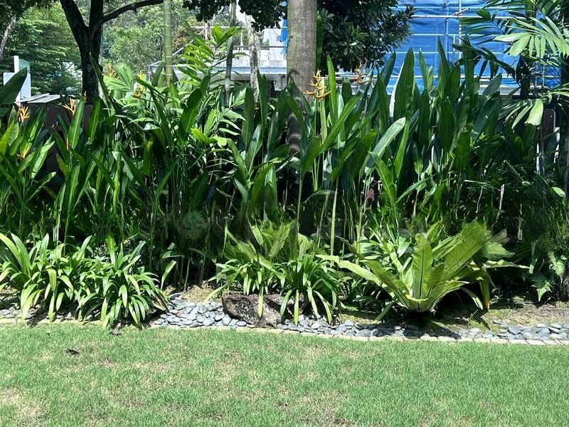 MING TECK PARK 11