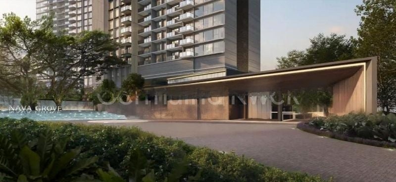 NAVA GROVE 11