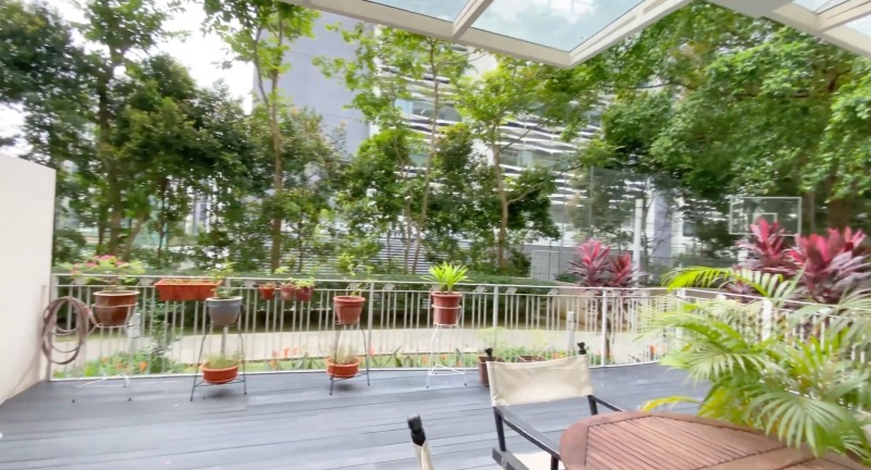 BLOSSOMS @ WOODLEIGH 19