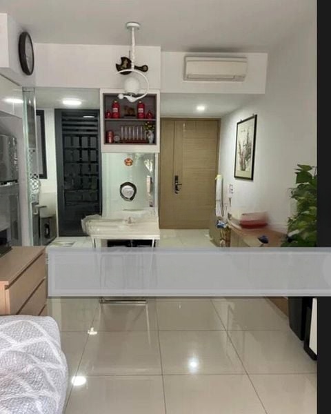 COCO PALMS 7