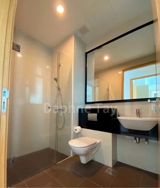 LUSH ON HOLLAND HILL 2