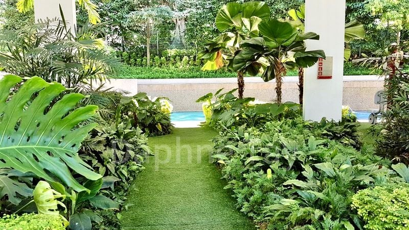 LUSH ON HOLLAND HILL 12