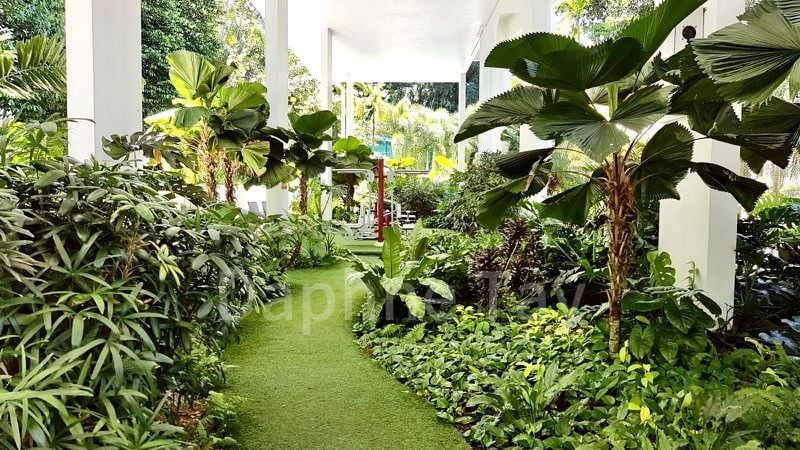 LUSH ON HOLLAND HILL 15