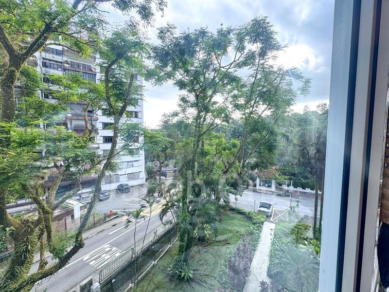 BOTANIC GARDENS VIEW 11